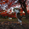 紅葉狩り