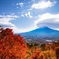 紅く蒼く