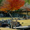 奈良公園荒池あたり１