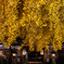 神社の夜