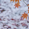 Two seasons
