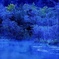 毛嵐漂う