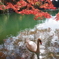 紅葉と白鳥