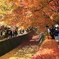 紅葉回廊
