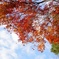 AAD6A003-BBD7-4B15-8393-A29BA6583713
