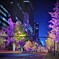 ビジネス街の夜