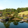 日本庭園_1