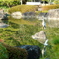 日本庭園_5