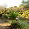日本庭園_6