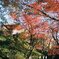 三滝寺