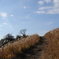 平尾台散歩道の光景