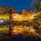 大田黒公園ライトアップ