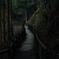 銀山行路