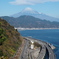 薩埵峠に寄り道。