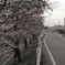 訪れ