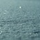 snow*