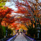 石山寺紅葉