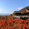 清水寺の紅葉