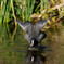 DSC07935_DxO