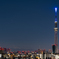 good night TOKYO