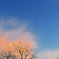 淡い夕焼け