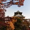 Surrounded by autumn colors