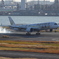 JAL(JA06XJ)A350-941[金の鶴丸]_1