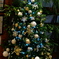 クリスマス christmas tree