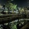 川のリフレクション