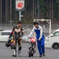レースの後に