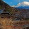 富士山巡礼　-西湖いやしの里根場-