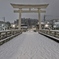 雪中の桜山八幡宮