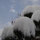 雪の青空