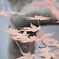 冬紅葉　銀
