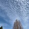 秋雲かな⁈