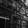 scaffold