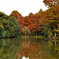 公園の池