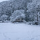 元日の雪〈鞍馬のえいでん〉