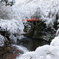 令和四年元旦の雪