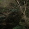 友よ無事ですか