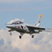 夏のT-4