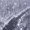 雪が降る