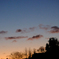 DSCF7061