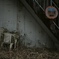 展望台への階段