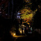 中尊寺　紅葉銀河　明暗