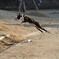 ジャンプ！　発進！