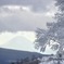 雪景色
