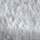 雪化粧