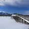 鶴の舞橋