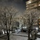 団地の雪化粧